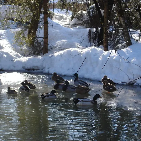 アパート Welcome-Bienvenue-Добро Пожаловать