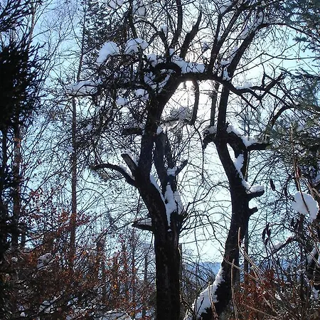 Welcome-Bienvenue-Добро Пожаловать アパート *