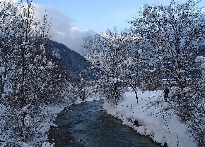 Welcome-bienvenue-добро пожаловать דירה פלאכאו