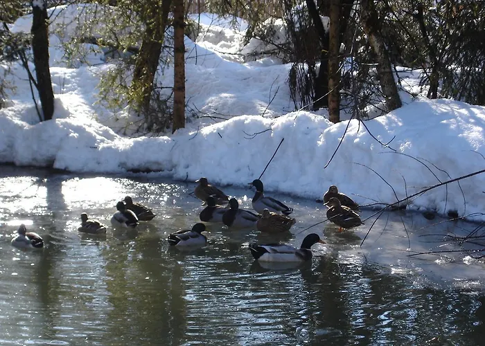 Апартаменти Welcome-bienvenue-добро пожаловать