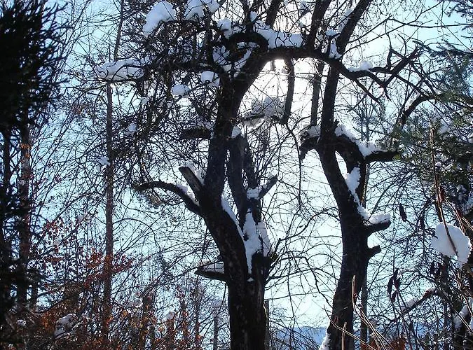 Welcome-bienvenue-добро пожаловать Апартаменти *