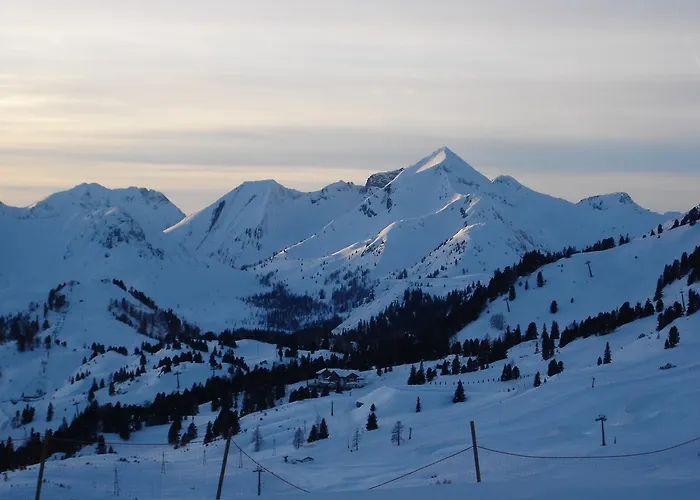 Welcome-bienvenue-добро пожаловать *